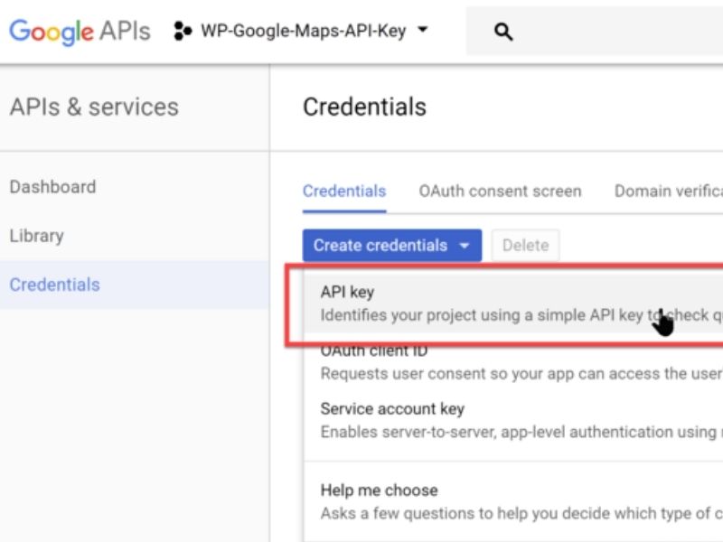 Google Maps API Key